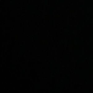 Meet your Posher, Jorrell